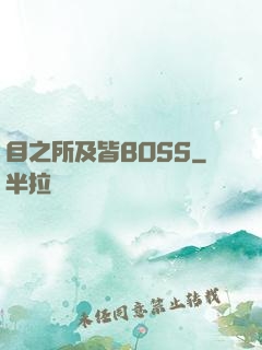 目之所及皆BOSS