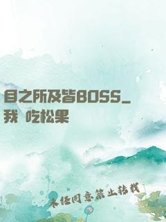目之所及皆BOSS