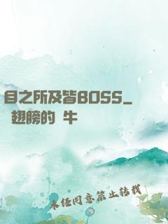 目之所及皆BOSS