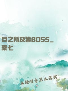 目之所及皆BOSS