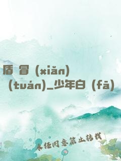 盾劍冒險(xiǎn)團(tuán)