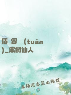 盾劍冒險團(tuán)