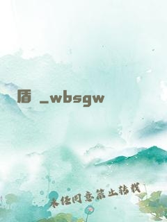 盾擊