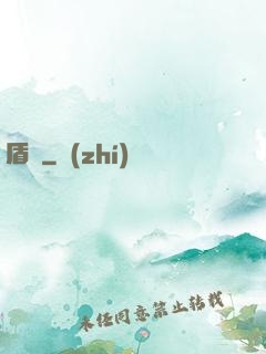 盾擊