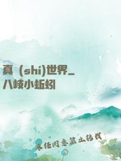 真實(shí)世界