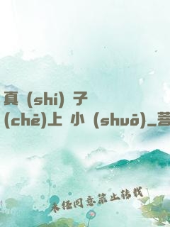 真實(shí)親子車(chē)上倫小說(shuō)