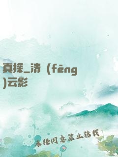 真探
