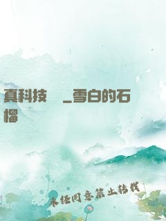 真科技無雙