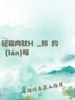 短篇肉耽H車