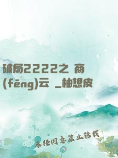 破局2222之電商風(fēng)云錄
