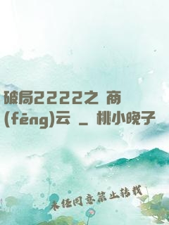 破局2222之電商風(fēng)云錄