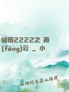 破局2222之電商風(fēng)云錄