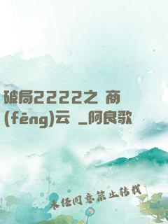 破局2222之電商風(fēng)云錄