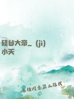 硅谷大帝