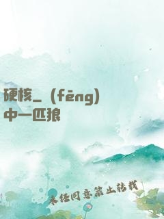 硬核