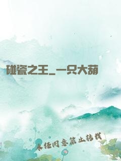 碰瓷之王