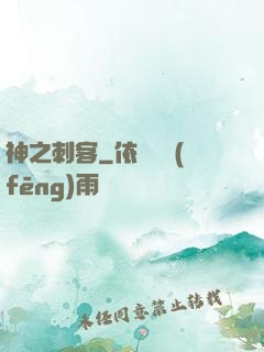 神之刺客