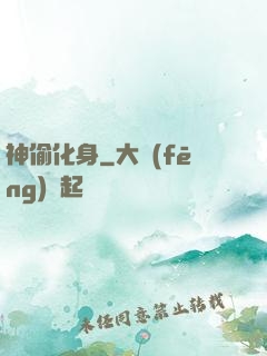 神偷化身