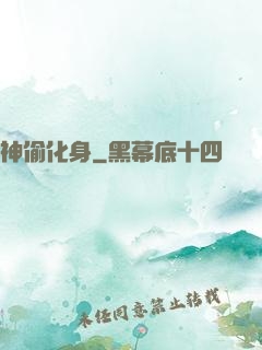 神偷化身