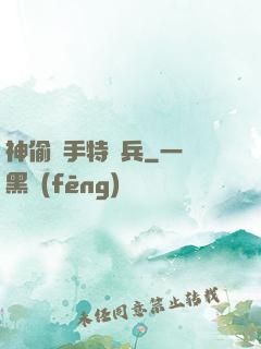 神偷殺手特種兵