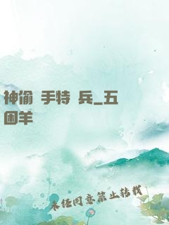 神偷殺手特種兵