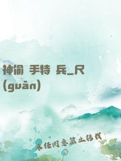 神偷殺手特種兵