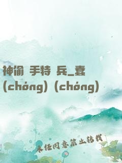 神偷殺手特種兵