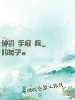 神偷殺手雇傭兵