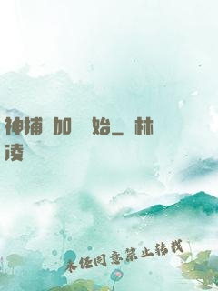神捕從加點開始