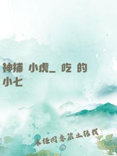 神捕聶小虎