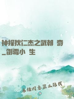 神探狄仁杰之武朝傳奇