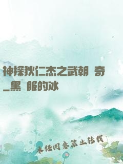 神探狄仁杰之武朝傳奇