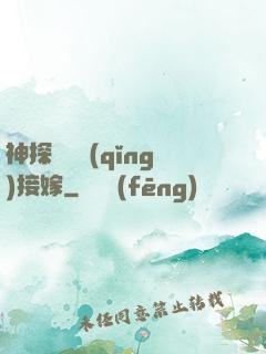 神探駙馬請(qǐng)接嫁
