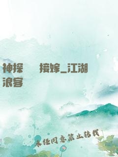 神探駙馬請接嫁