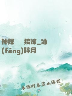 神探駙馬請接嫁