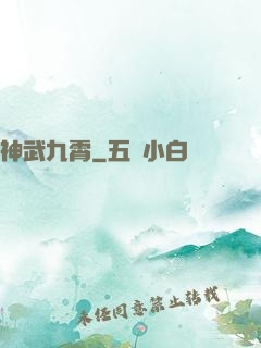 神武九霄