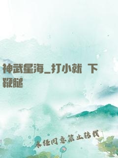 神武星海