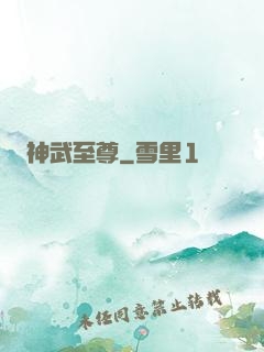 神武至尊