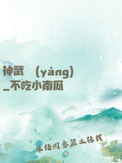 神武飛揚(yáng)