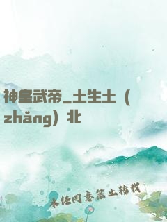 神皇武帝