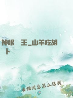 神眼鑒寶王