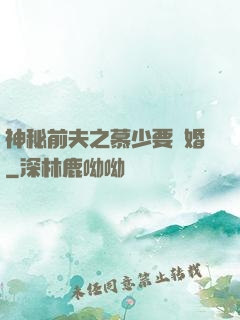 神秘前夫之慕少要復婚