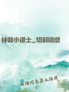 神算小道士