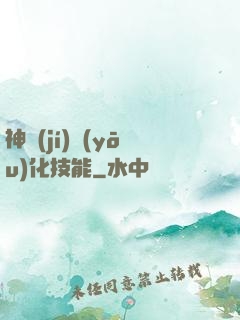 神級(jí)優(yōu)化技能