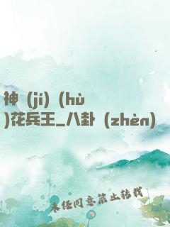 神級(jí)護(hù)花兵王