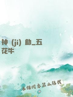 神級(jí)輔助