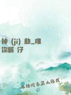 神級(jí)輔助