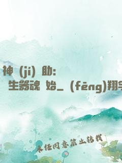 神級(jí)輔助：從雙生器魂開始