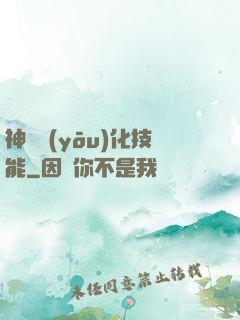 神級優(yōu)化技能