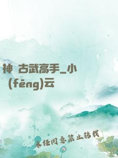神級古武高手